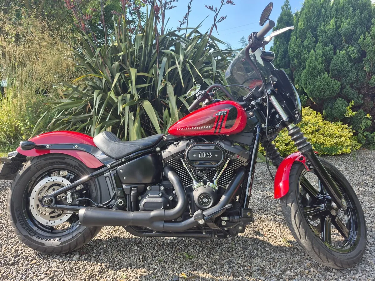 HARLEY DAVIDSON Street Bob 2024 - Image 1