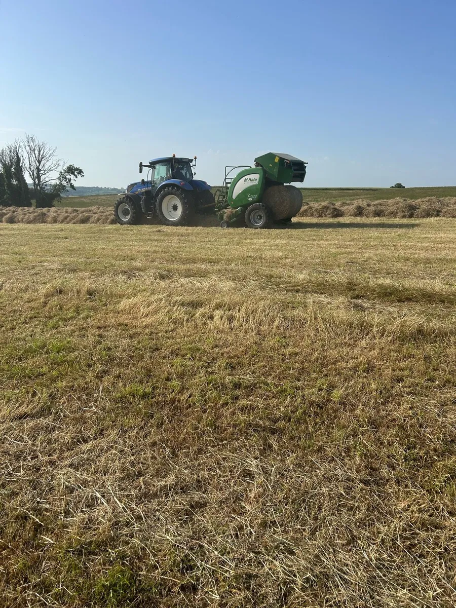 Hay - Image 1