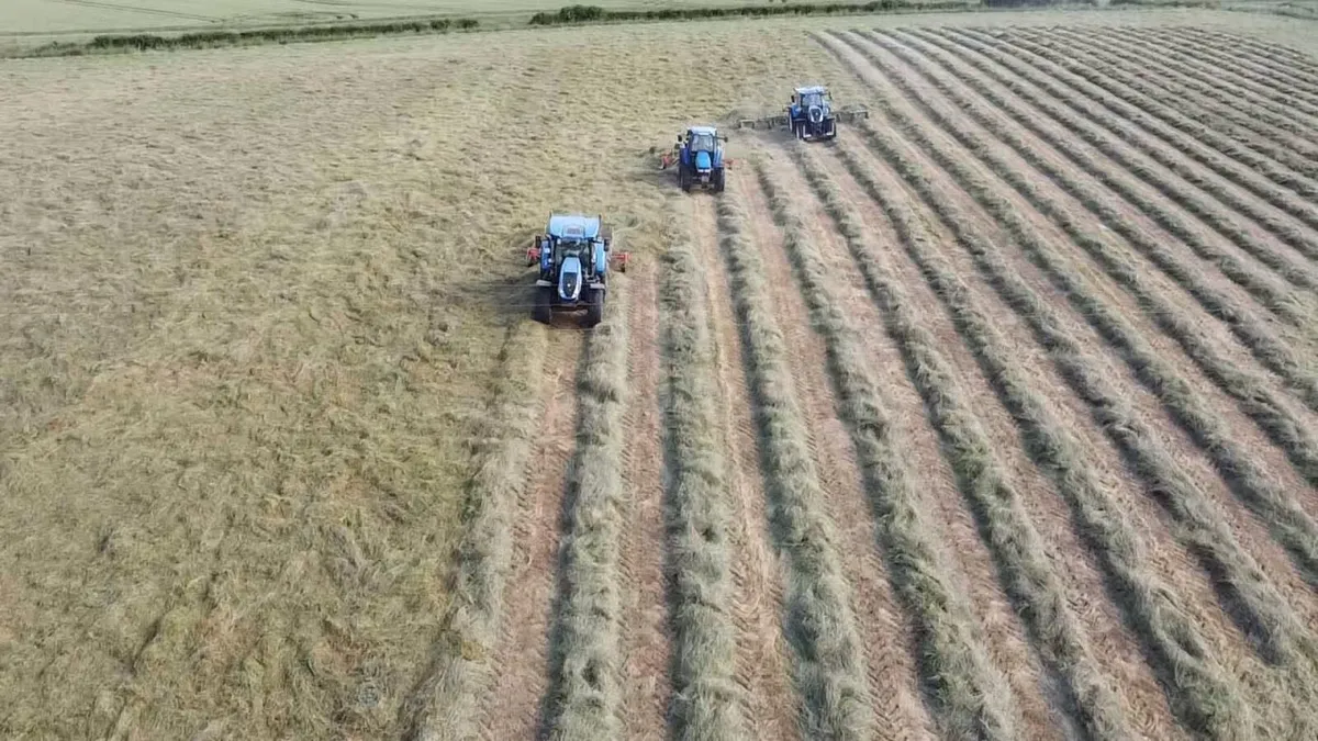 Hay - Image 2