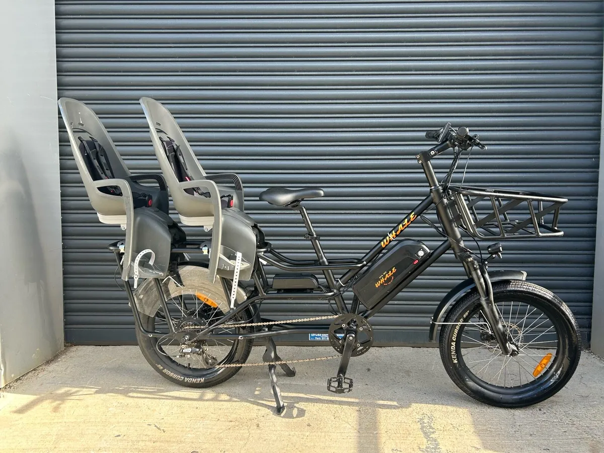 Whale longtail cargo electric bike 36v 250w - Image 2