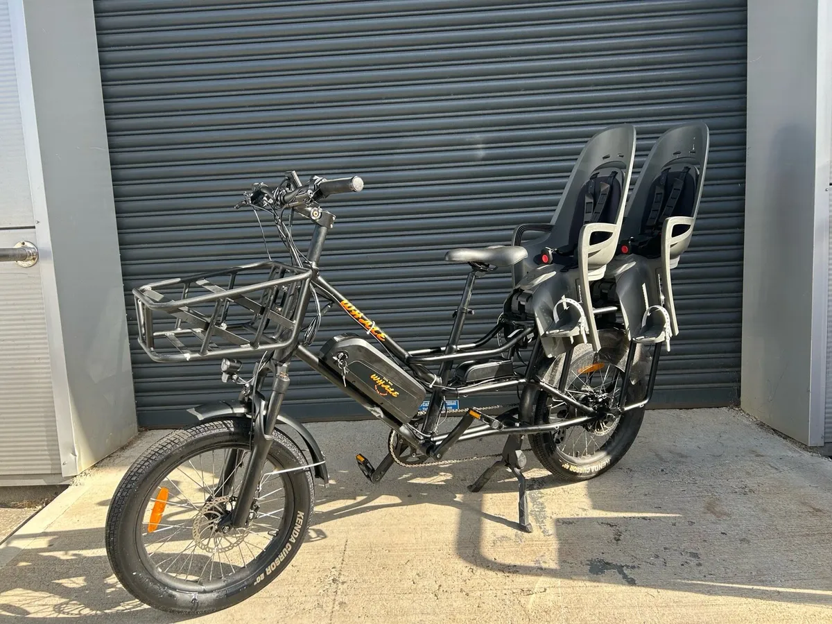 Whale longtail cargo electric bike 36v 250w - Image 3
