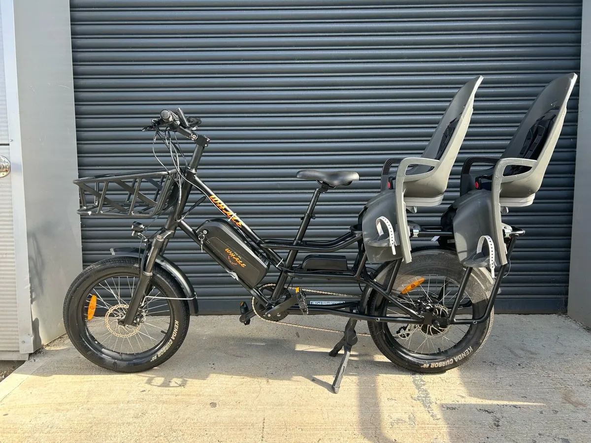 Whale longtail cargo electric bike 36v 250w - Image 4