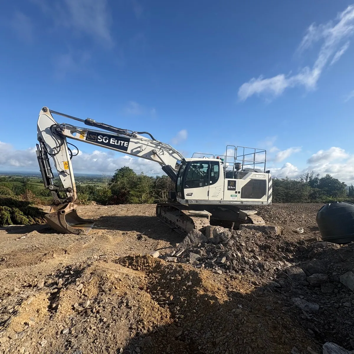 2020 Liebherr 930  LC - Image 1