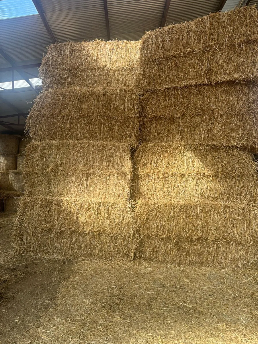 Barley and wheat straw - Image 1