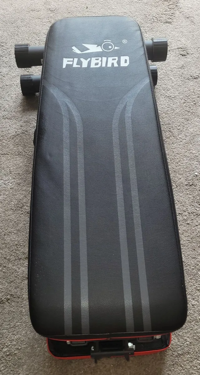 Foldable Flybird Workout Bench - Compact - Image 1