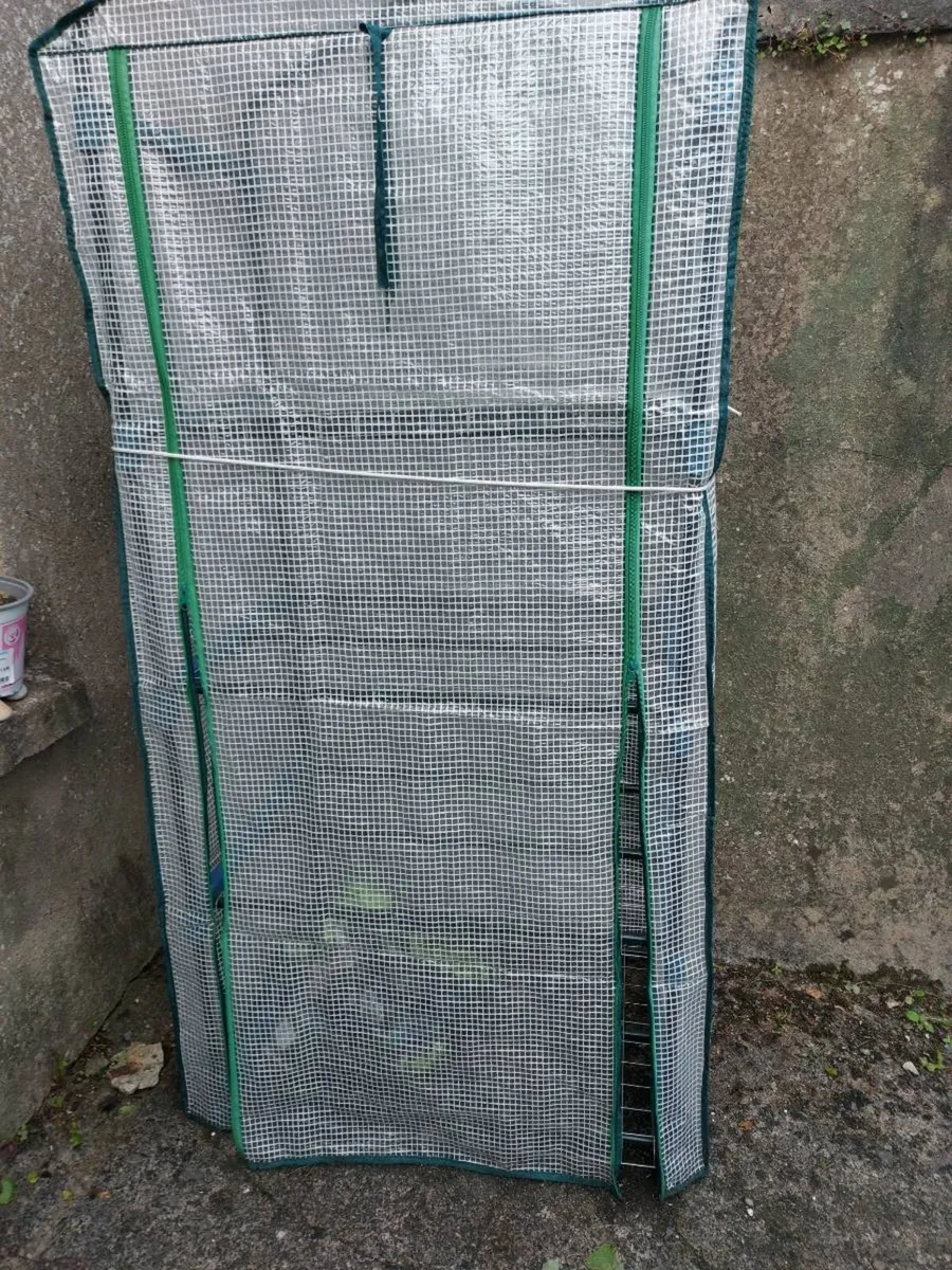 Green house - Image 3