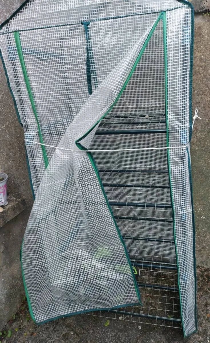 Green house - Image 4