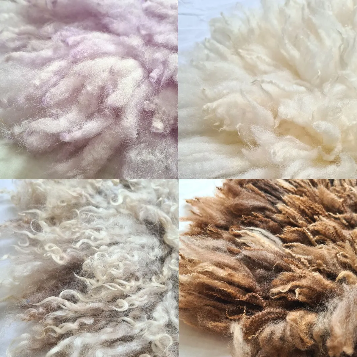 Curly Round Felted Blankets - Newborn Photography - Image 2