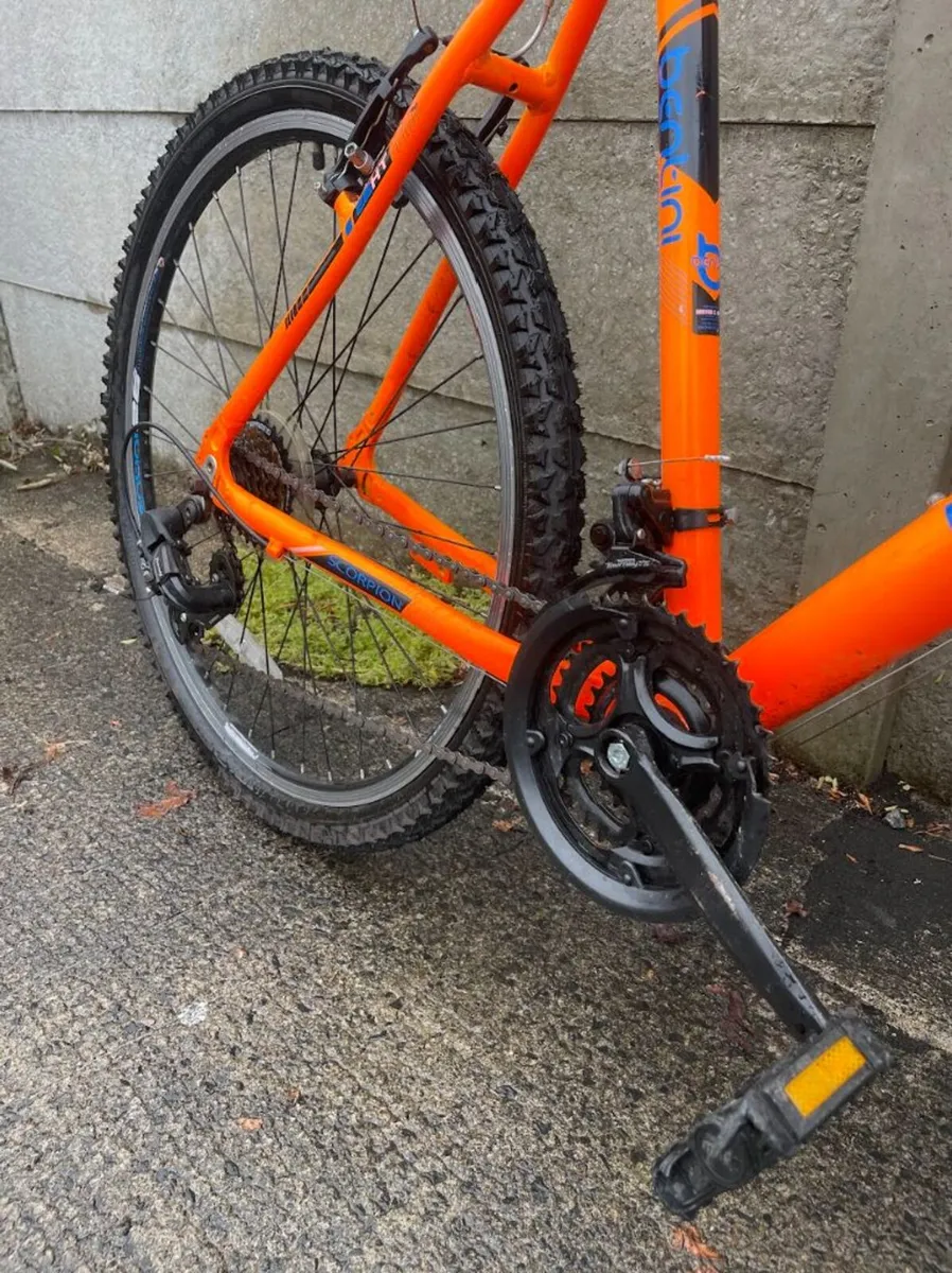 Bentini Scorpion 26-Inch Mountain Bike - Image 2