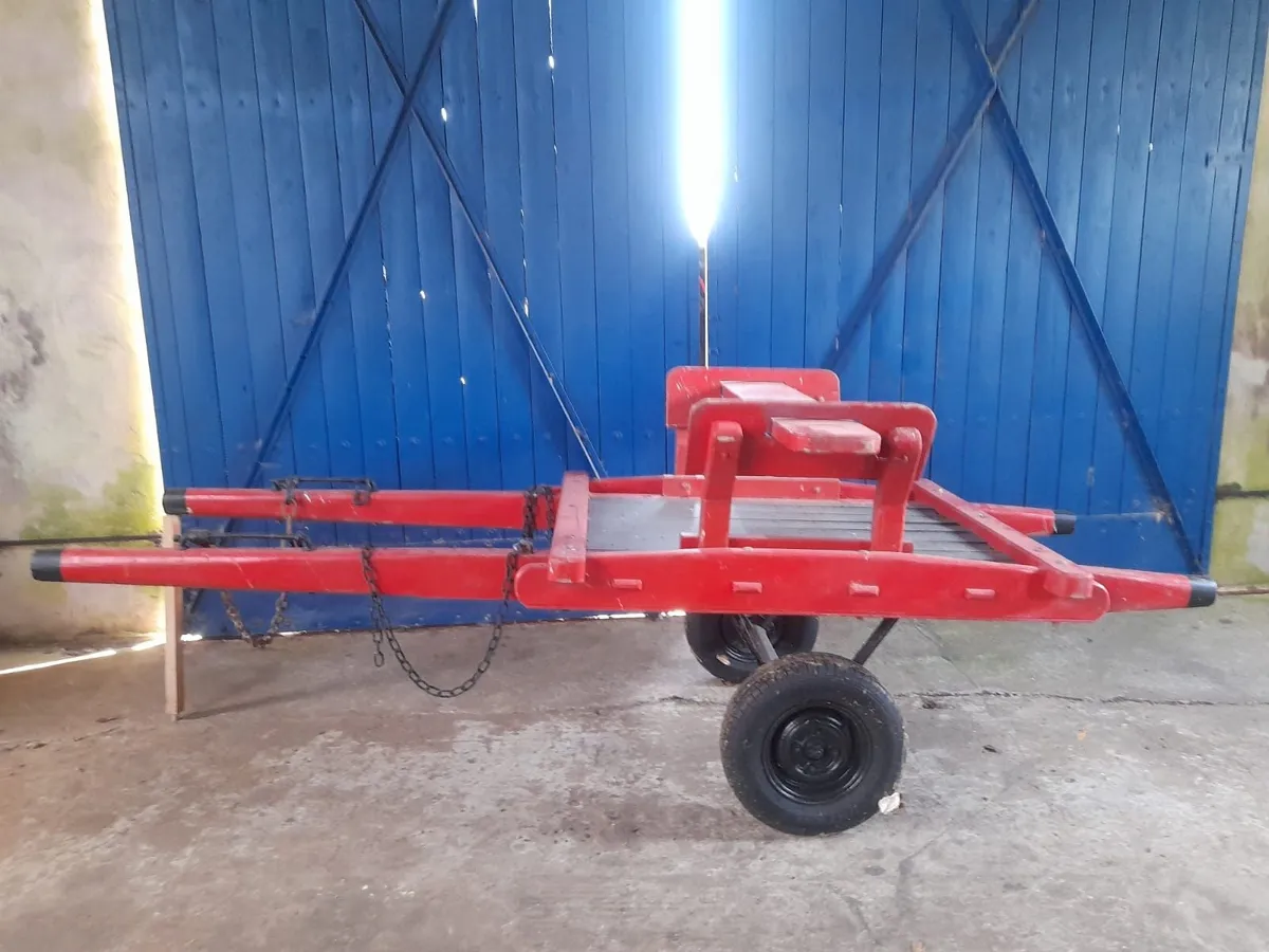 Donkey Cart - Image 1