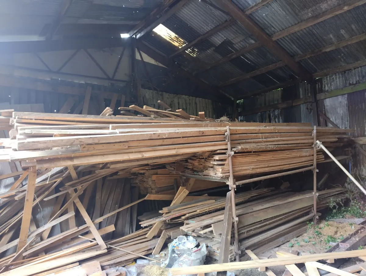 Timber - Image 1