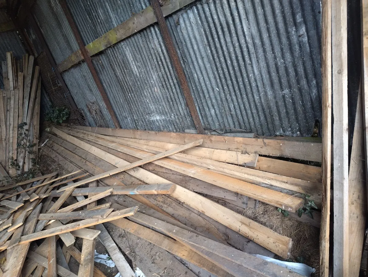 Timber - Image 3