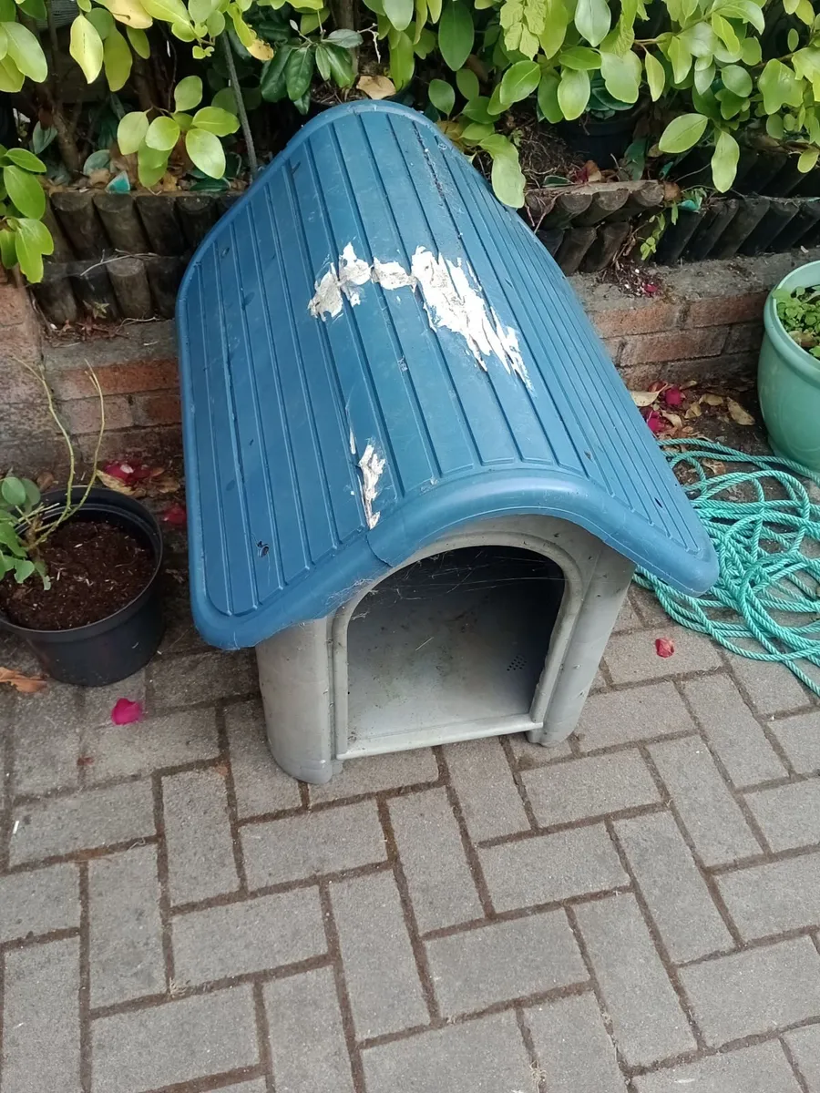 Dog House - Image 1