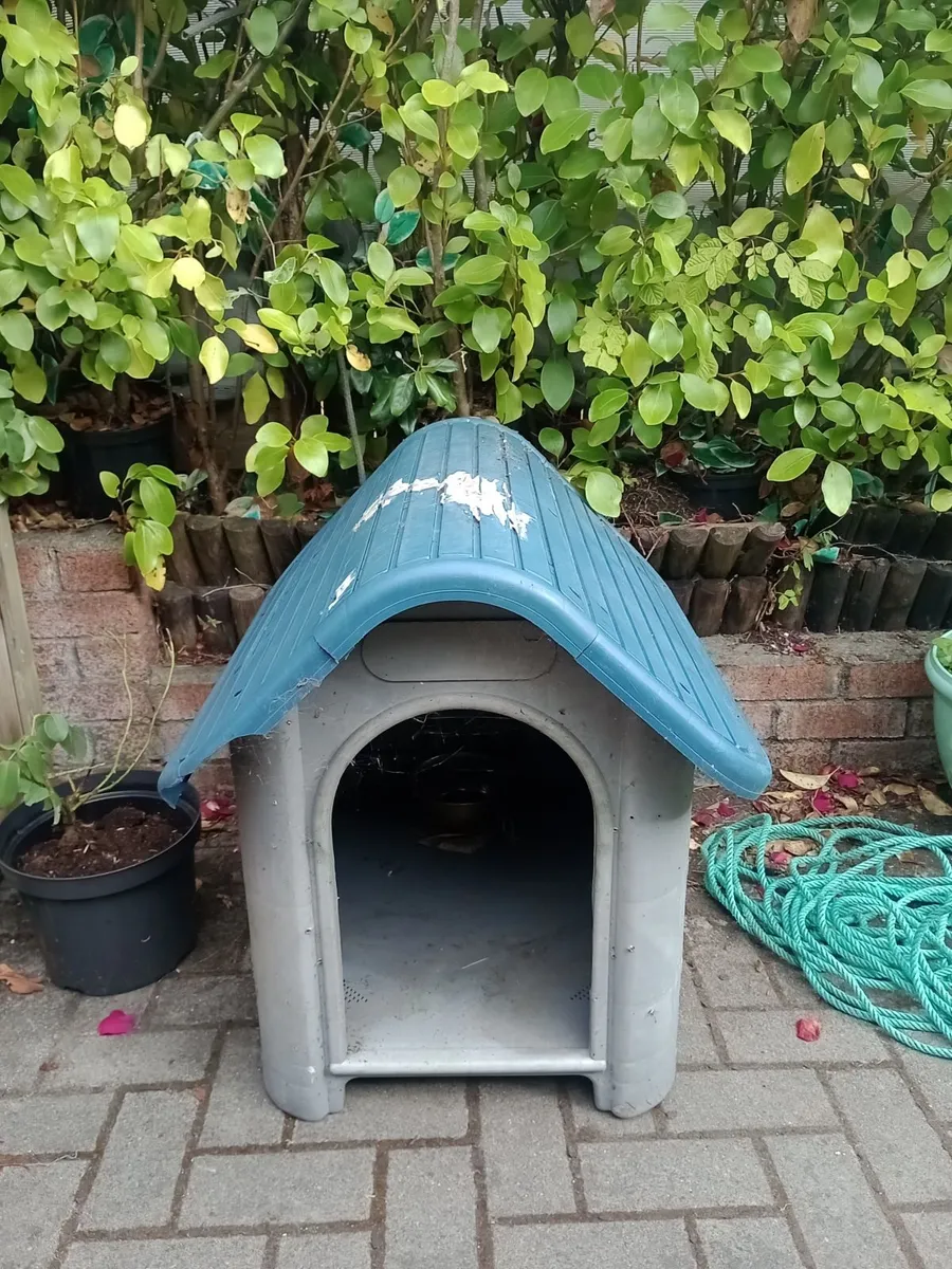 Dog House - Image 3