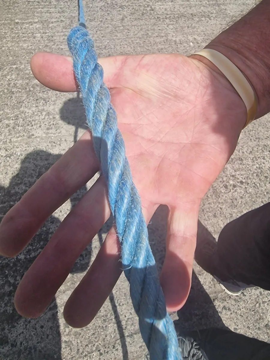 Rope - Image 1