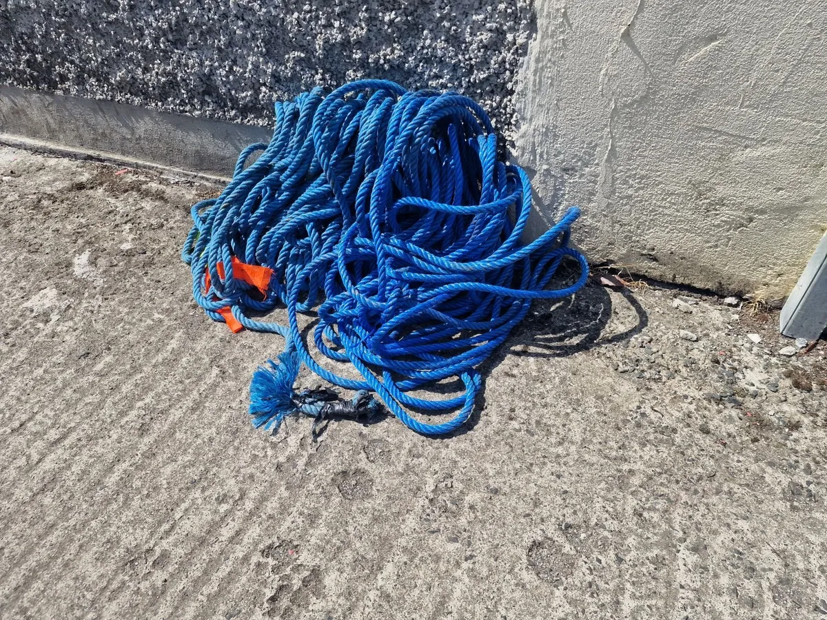 Rope - Image 3