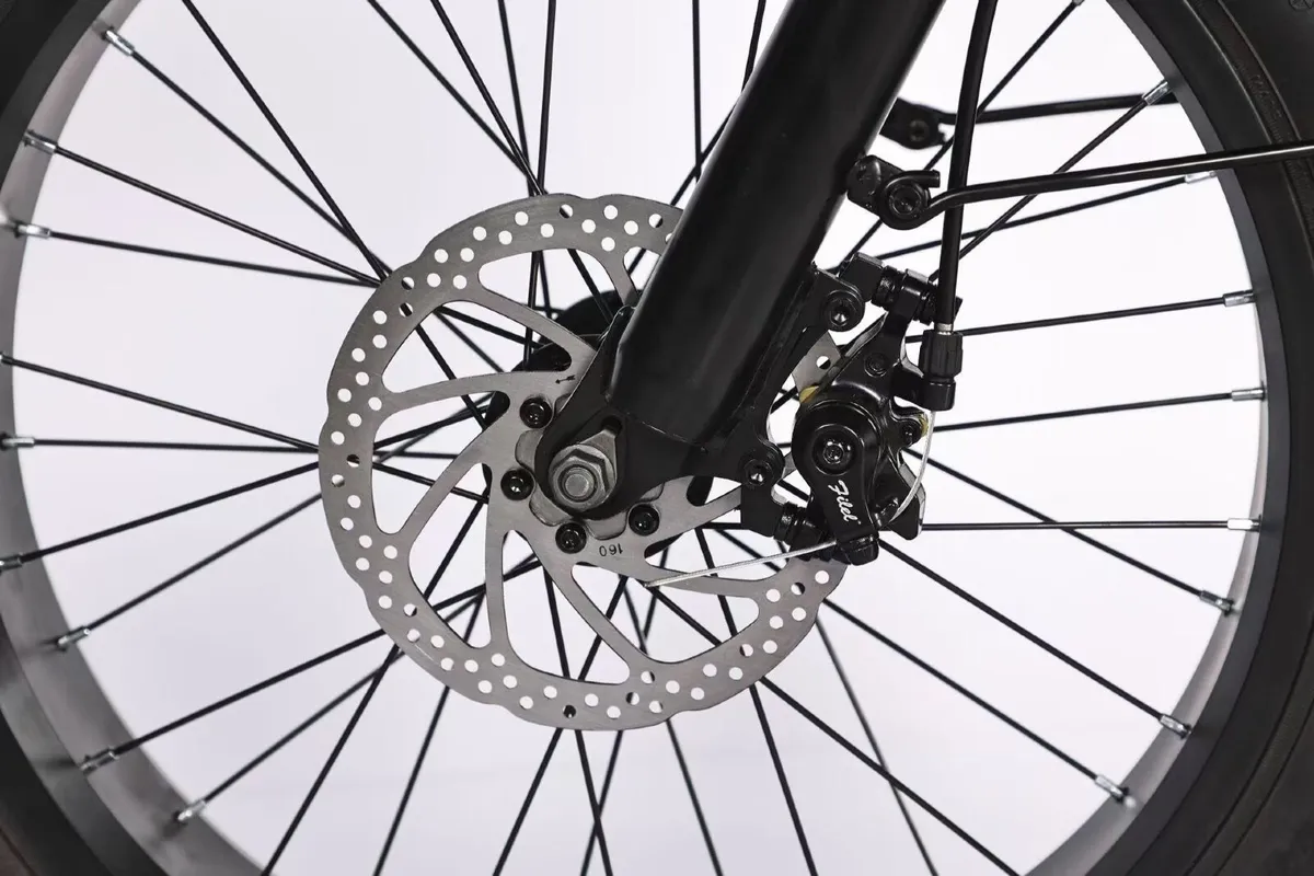 Electric Bicycle - Image 2