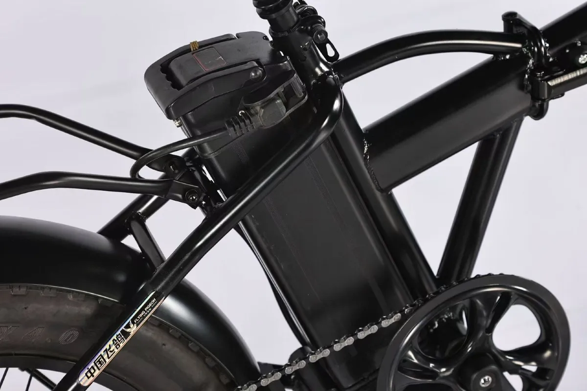 Electric Bicycle - Image 3