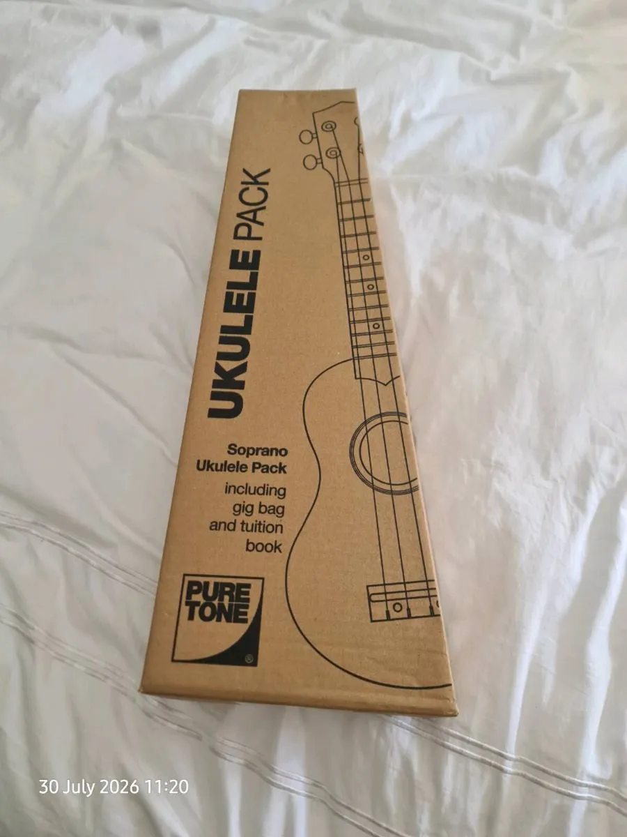 Ukulele - Image 4