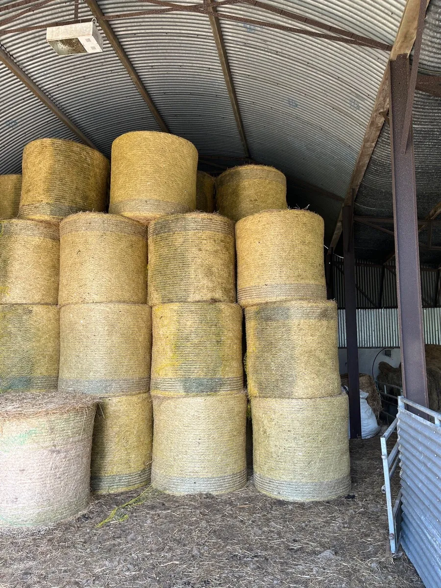 Organic hay, haylage , silage - Image 2