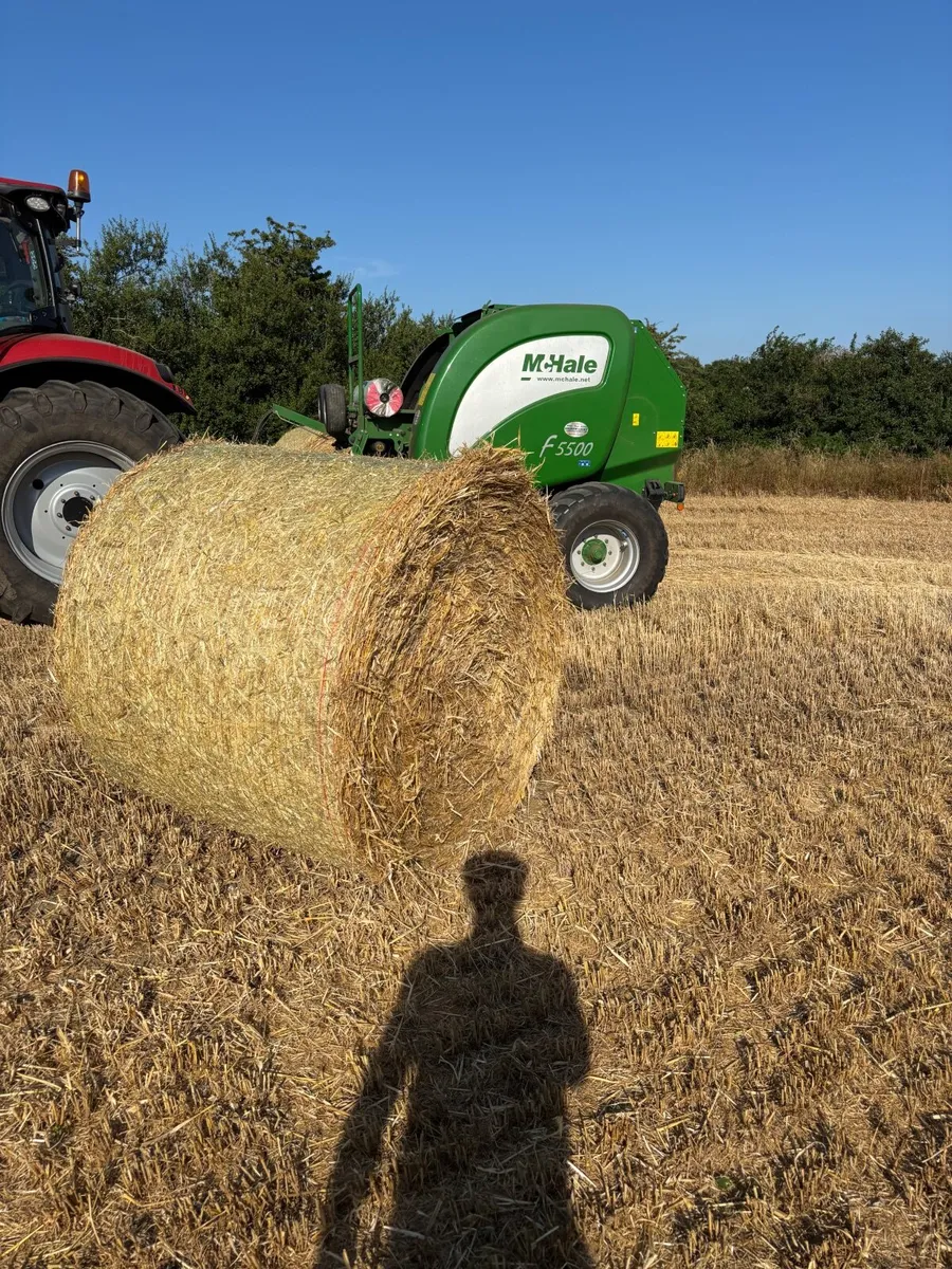 Straw - Image 1