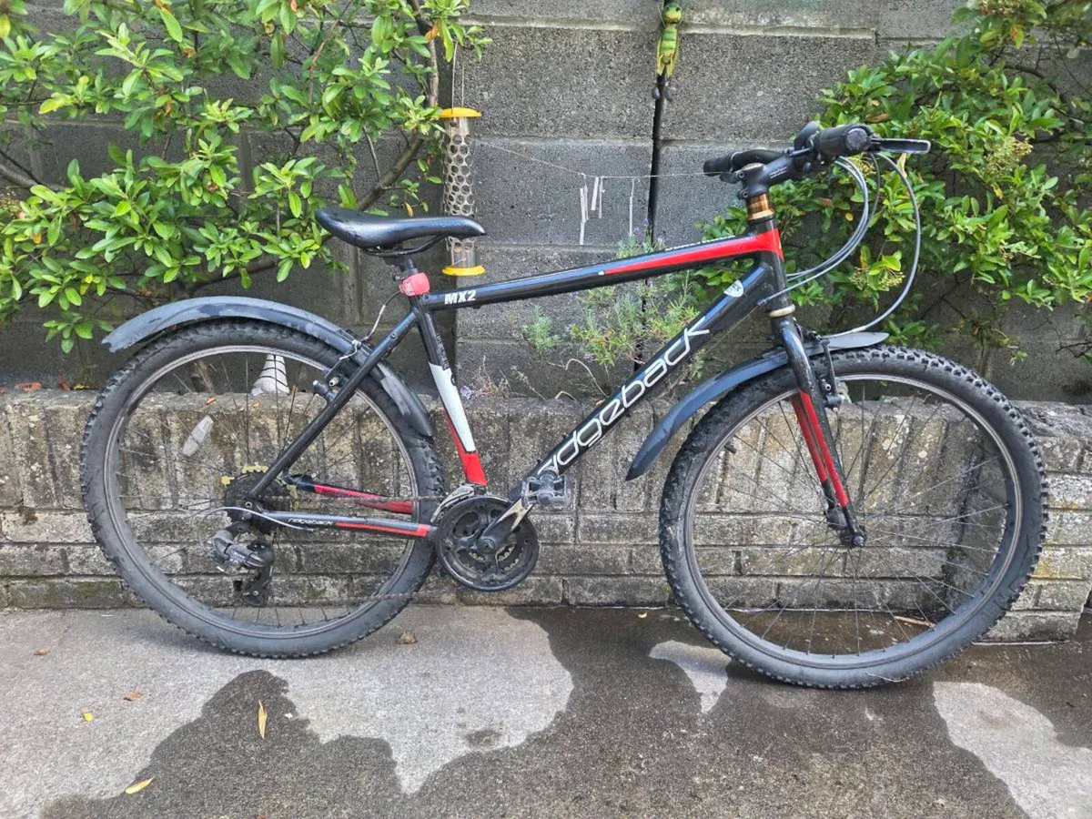 19 inch mountain bike