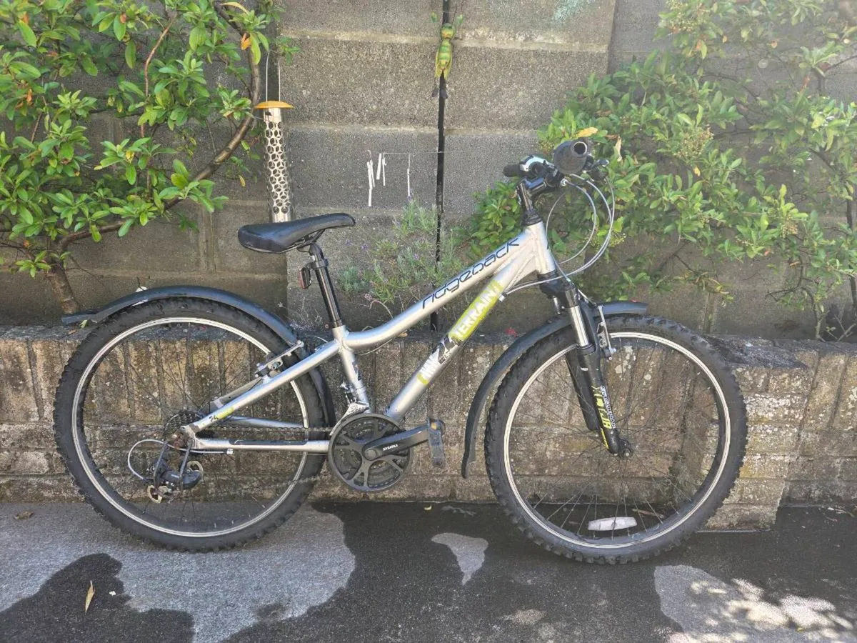 Child's bike - Image 1
