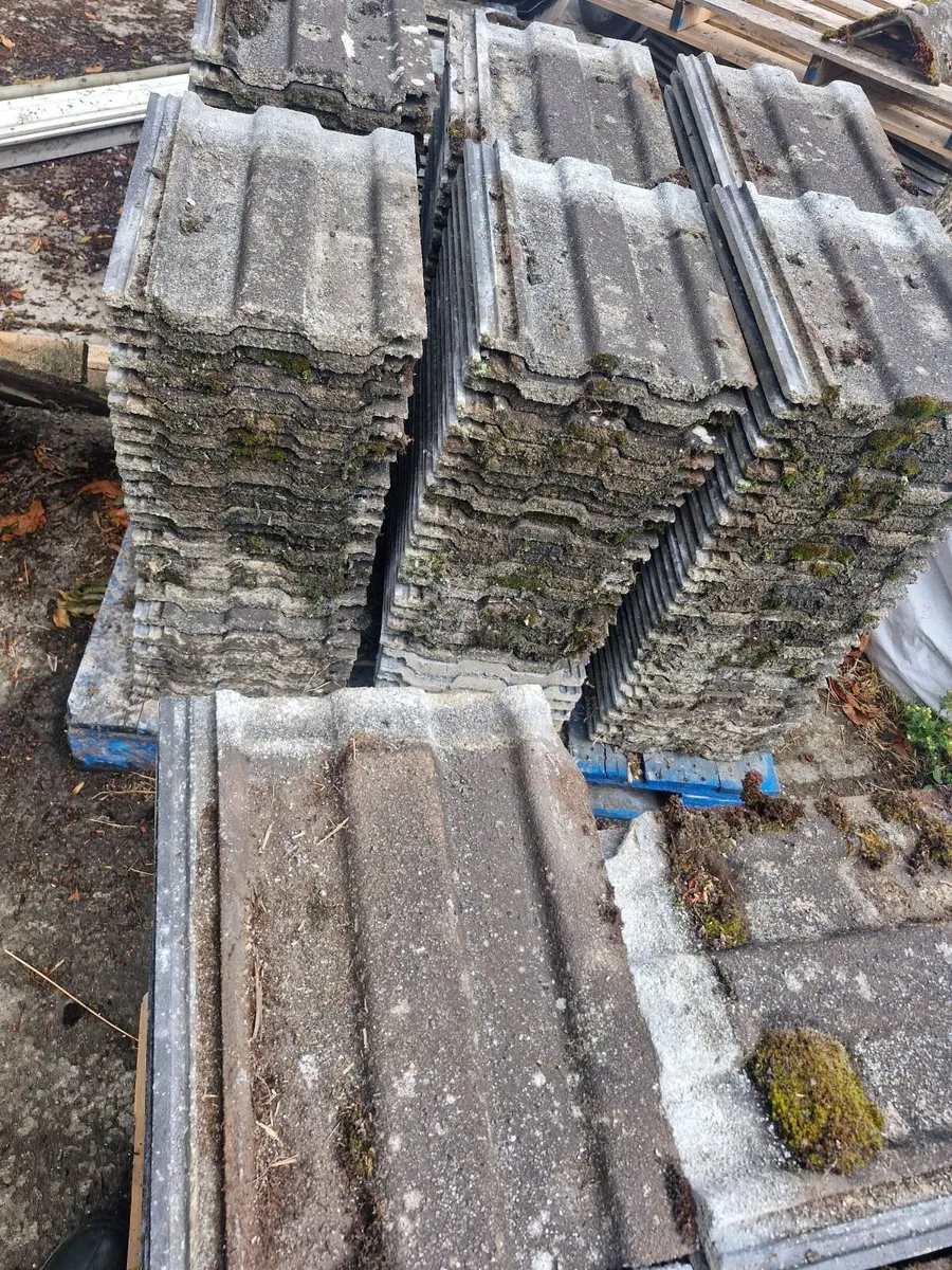 Roof tiles - Image 2