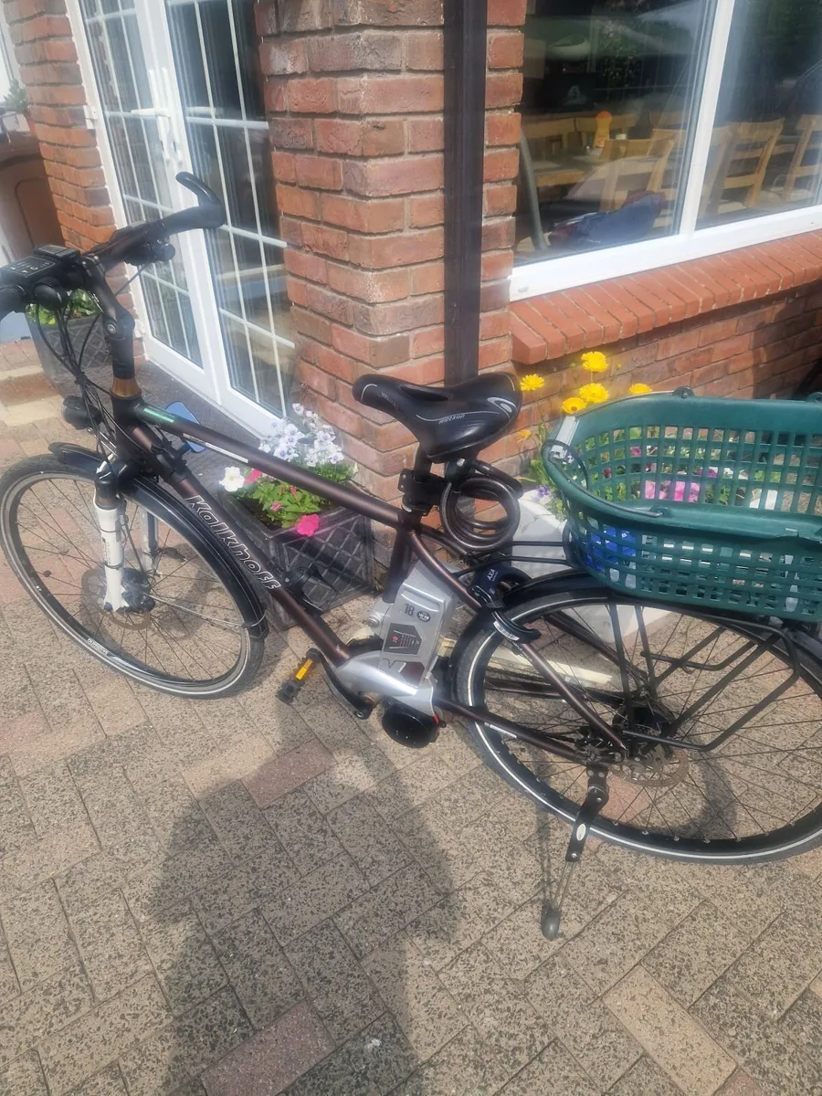 Electric Bike - Image 4