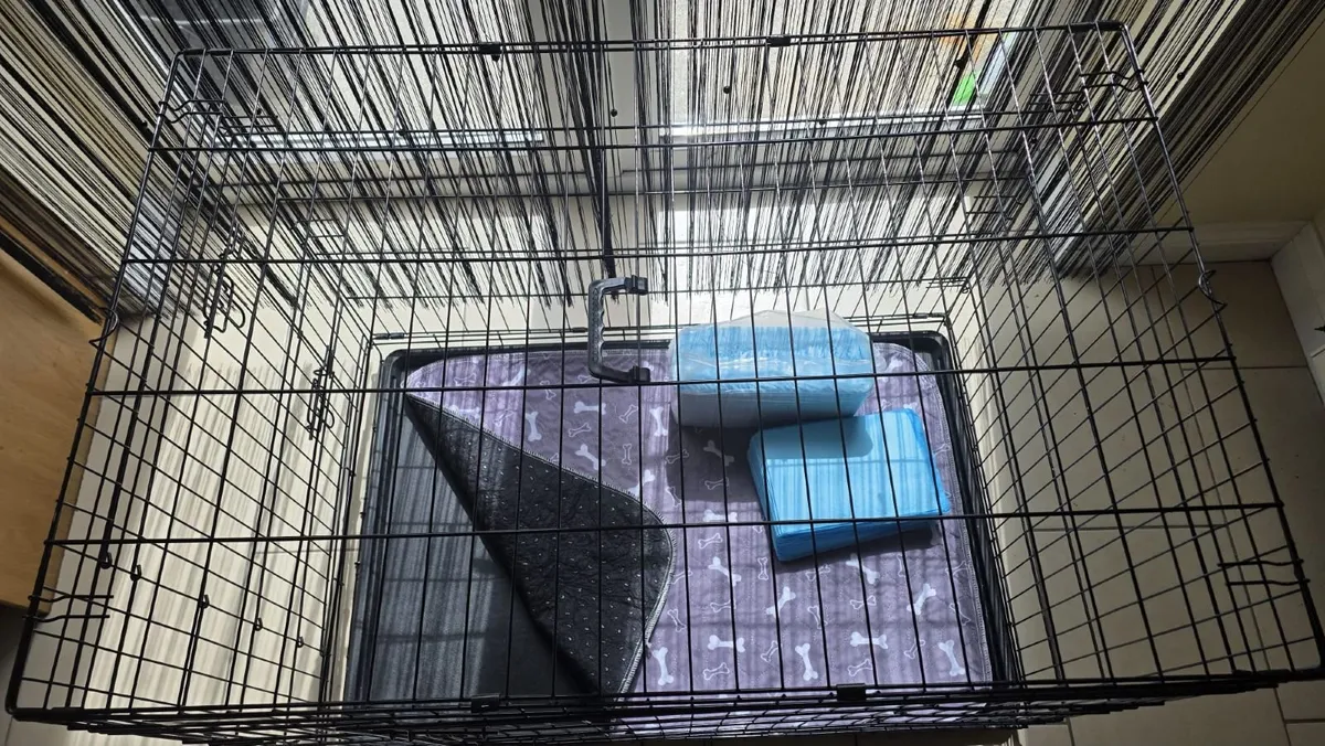 XL Foldable Dog Crate with Puppy Training Pads - Image 2