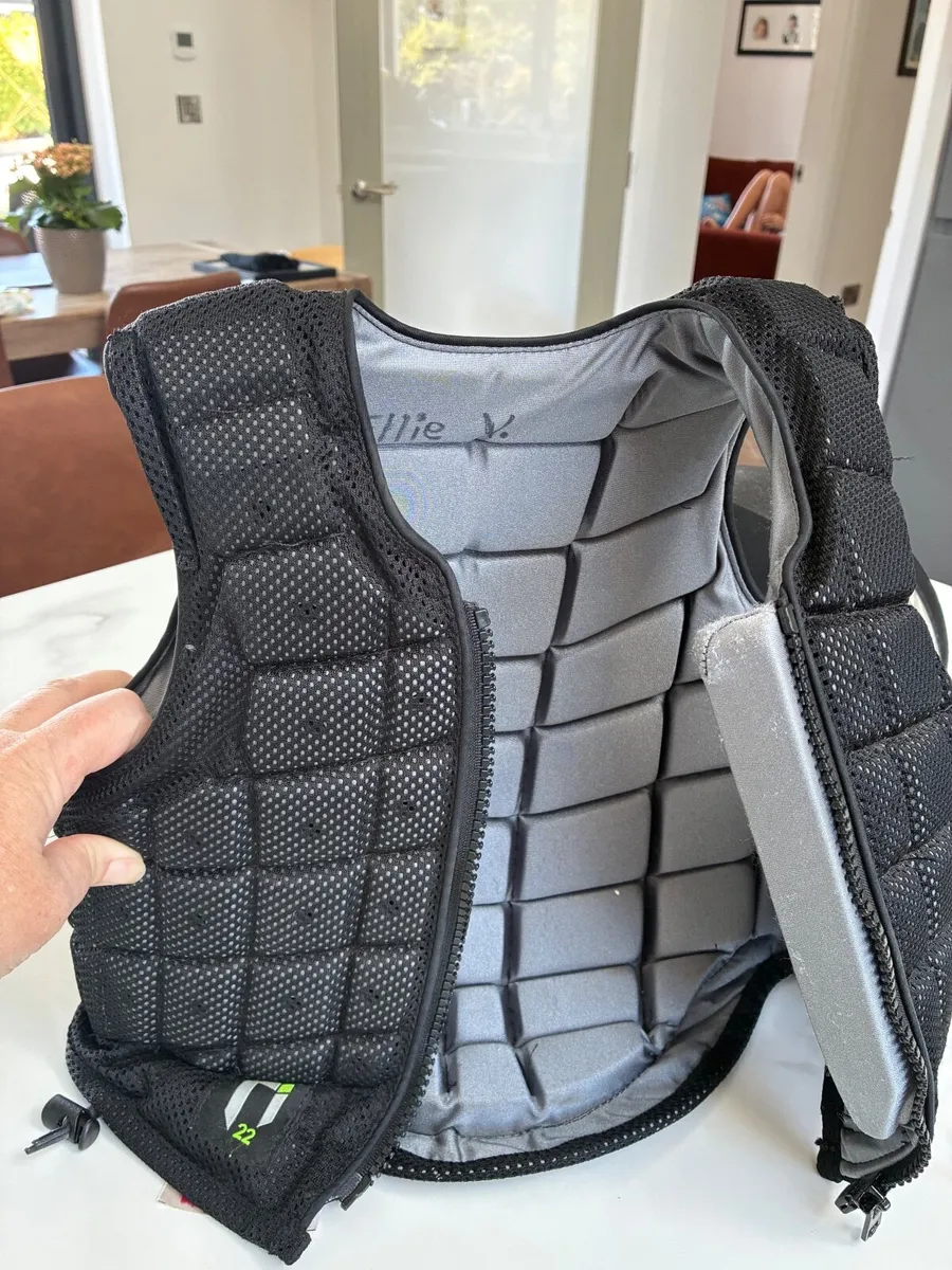 Equestrian helmet and back protector - Image 4
