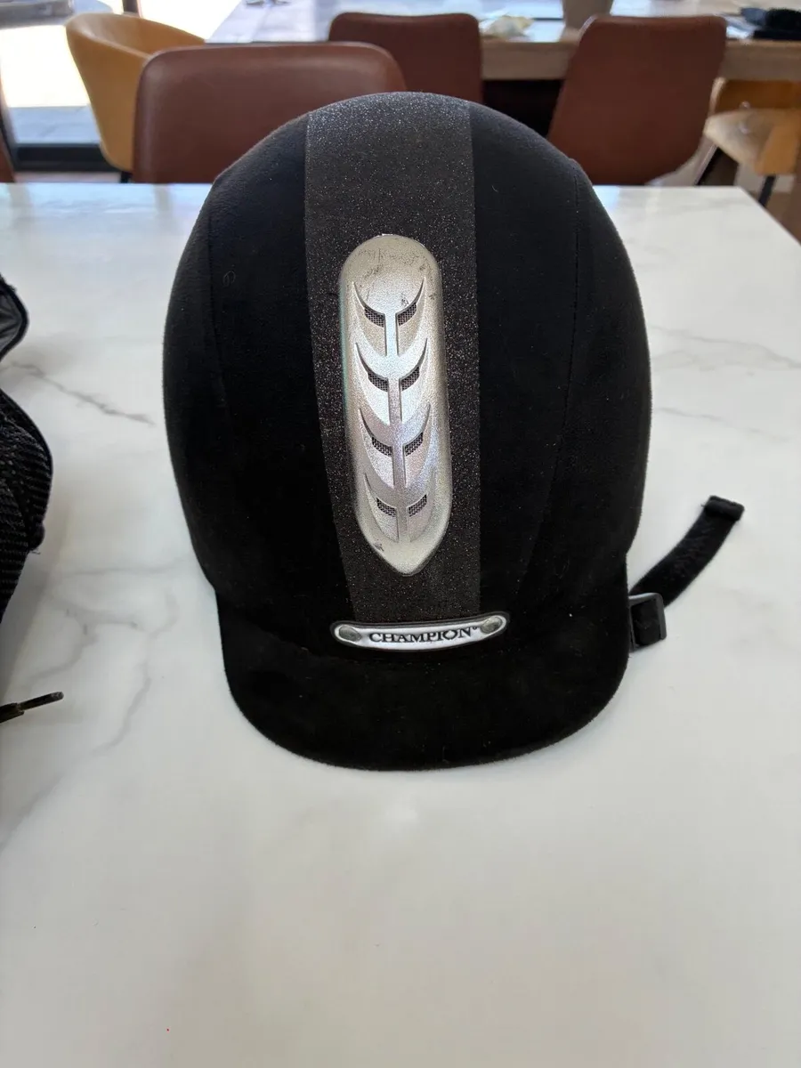 Equestrian helmet and back protector - Image 1