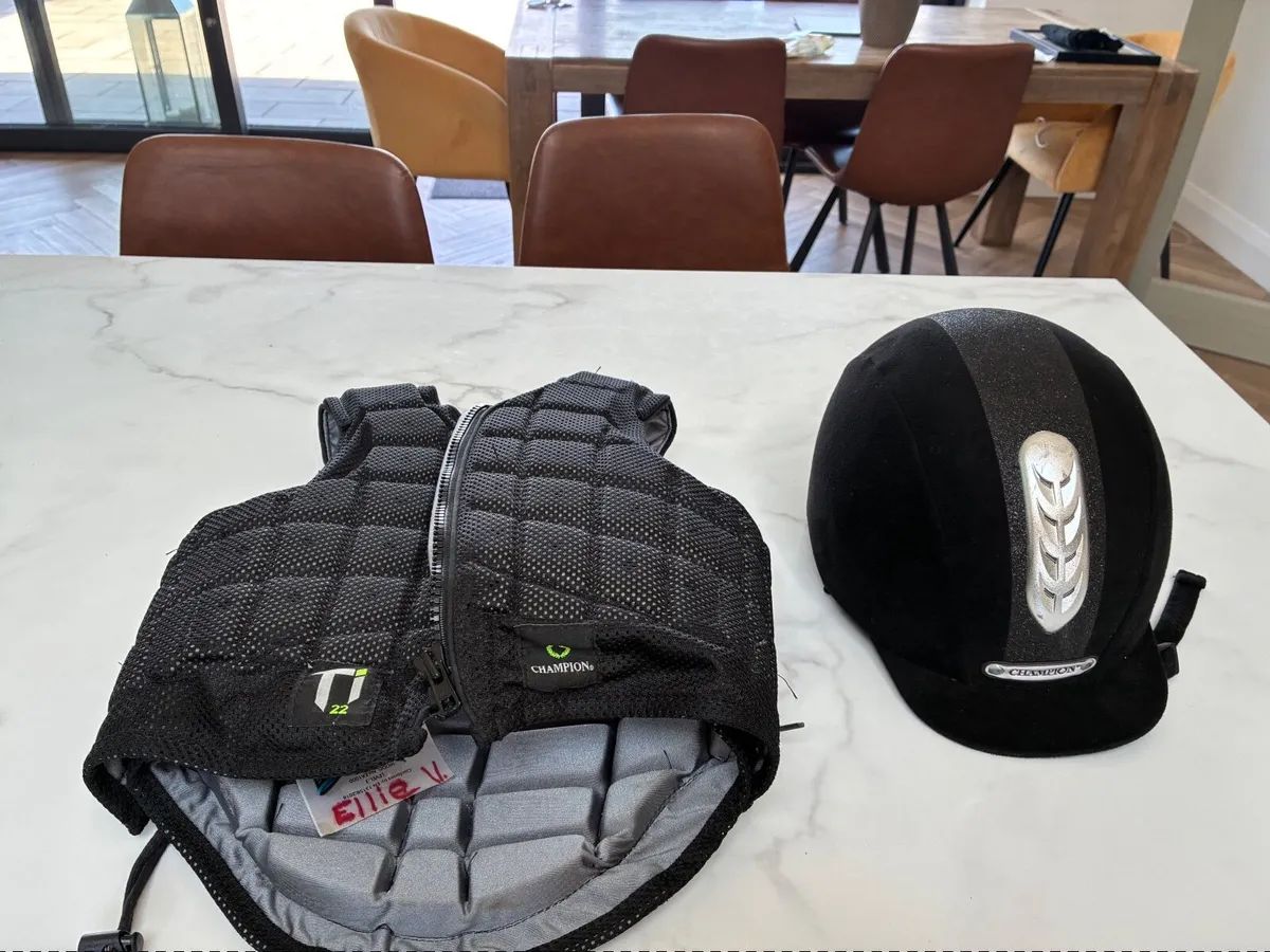 Equestrian helmet and back protector - Image 2