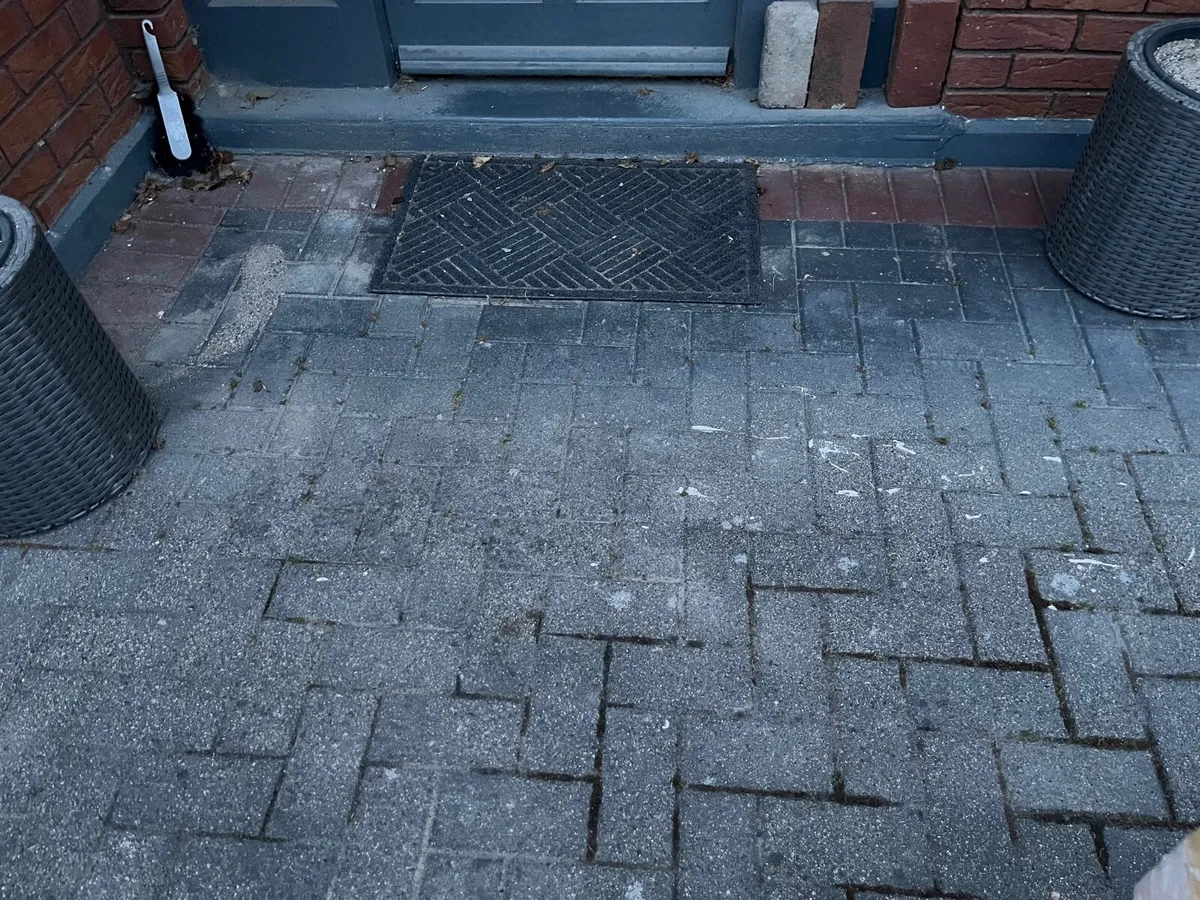 Patio bricks - Image 3
