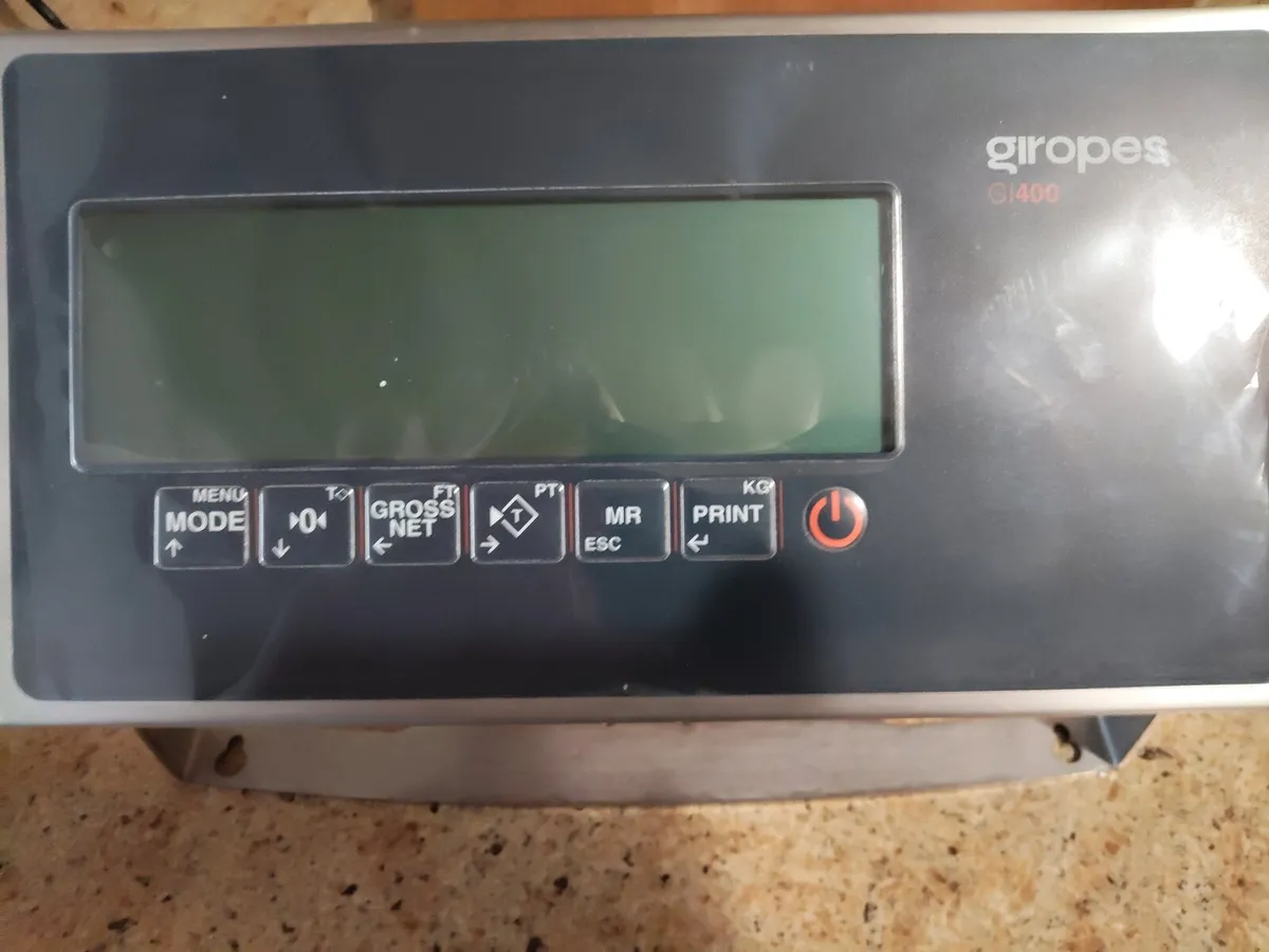 Industrial weighing scales - Image 1