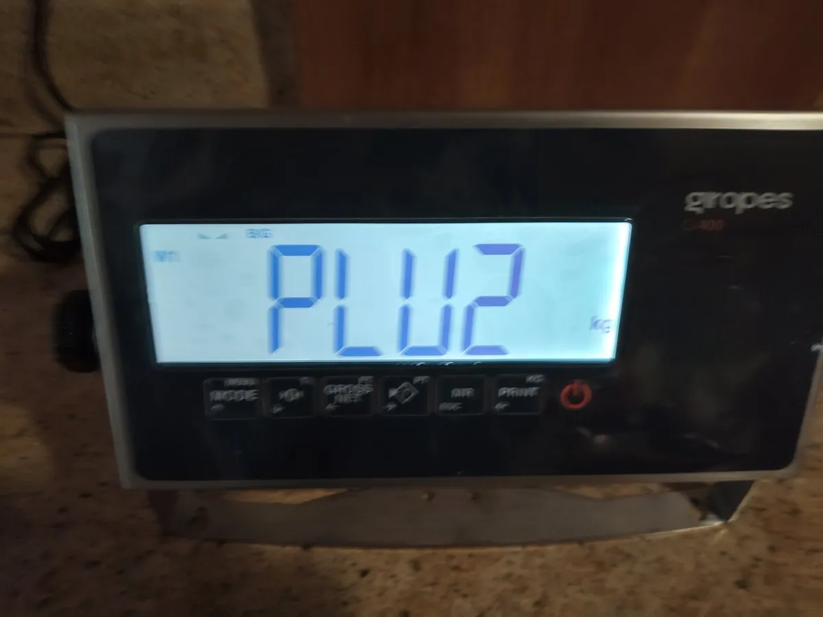 Industrial weighing scales - Image 4