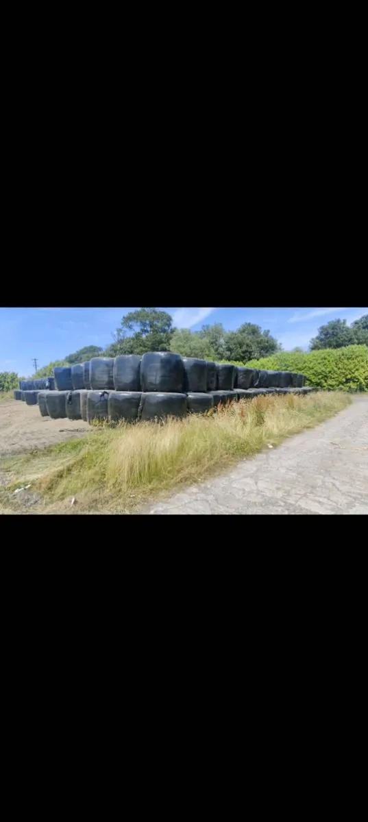 Silage - Image 1