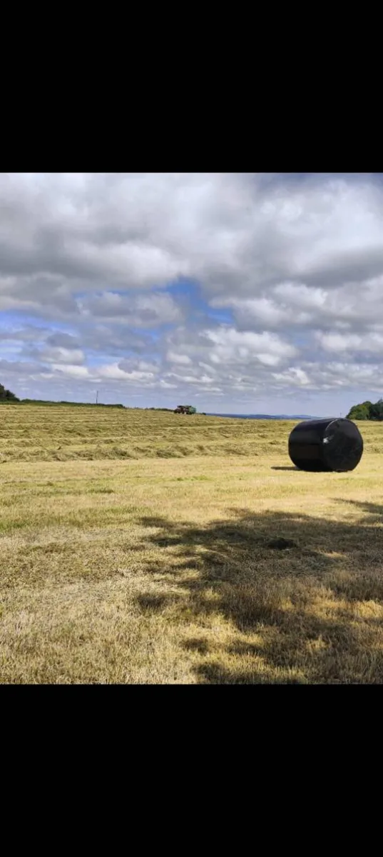 Silage - Image 3