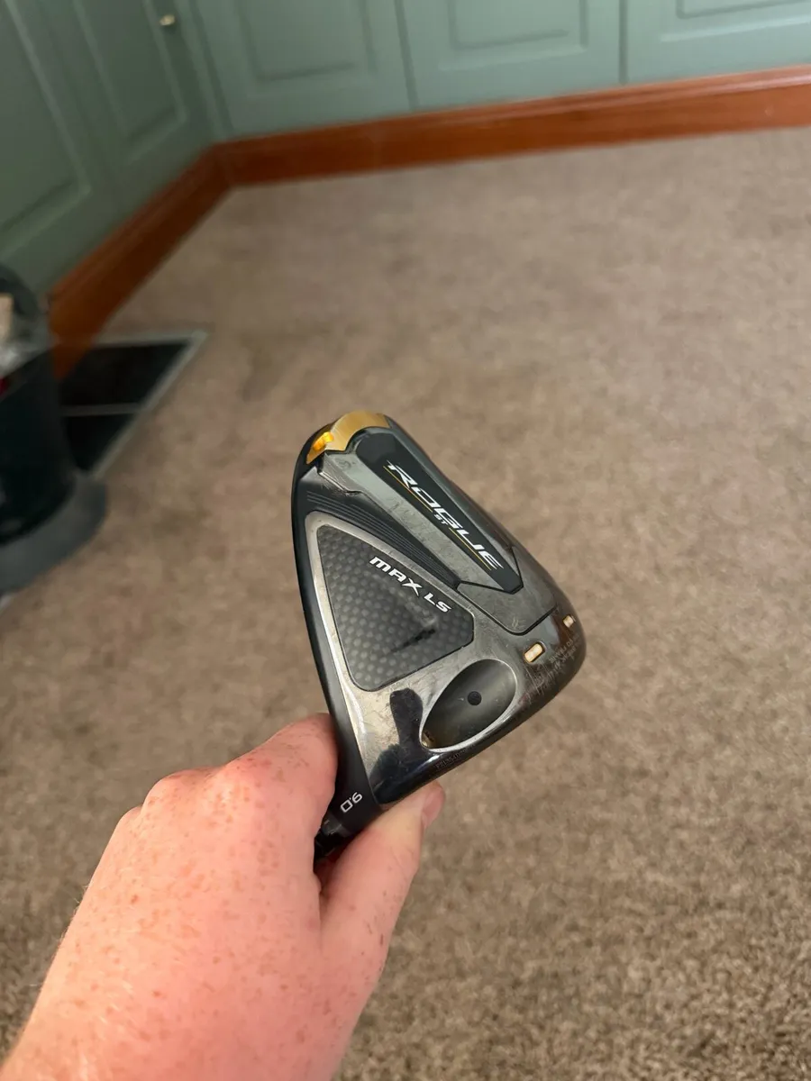 Golf club - Image 1
