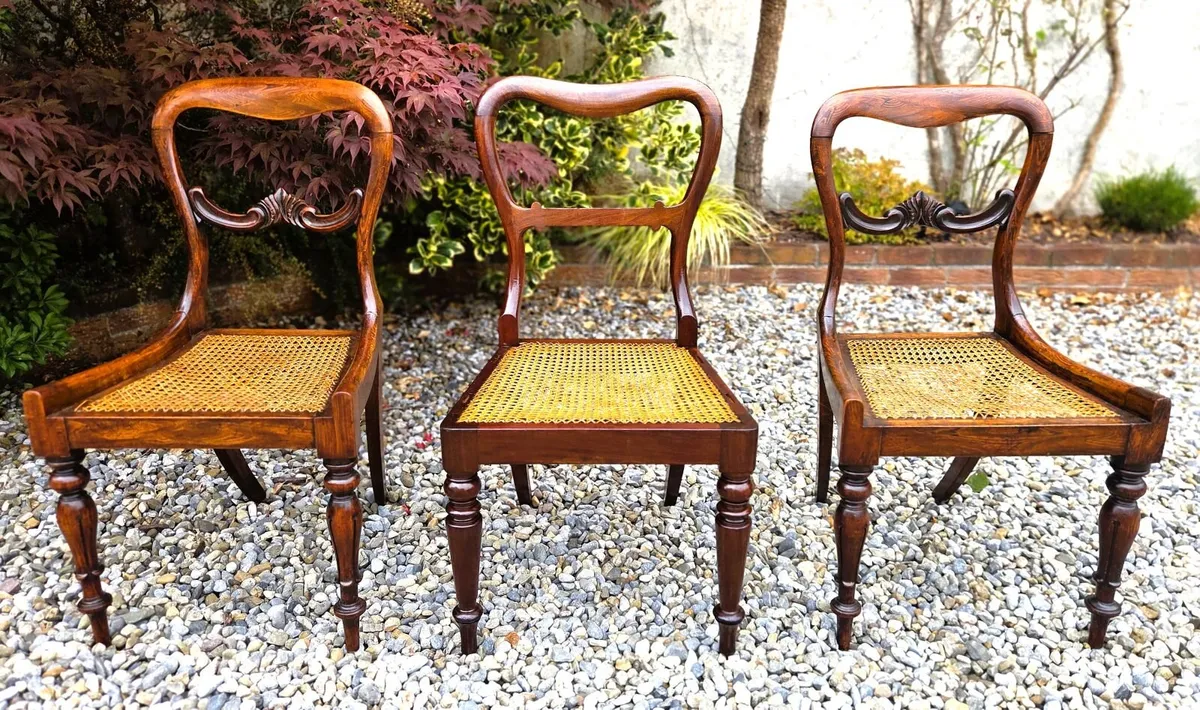 Georgian Rosewood Chairs- Circa 1835 - Image 1