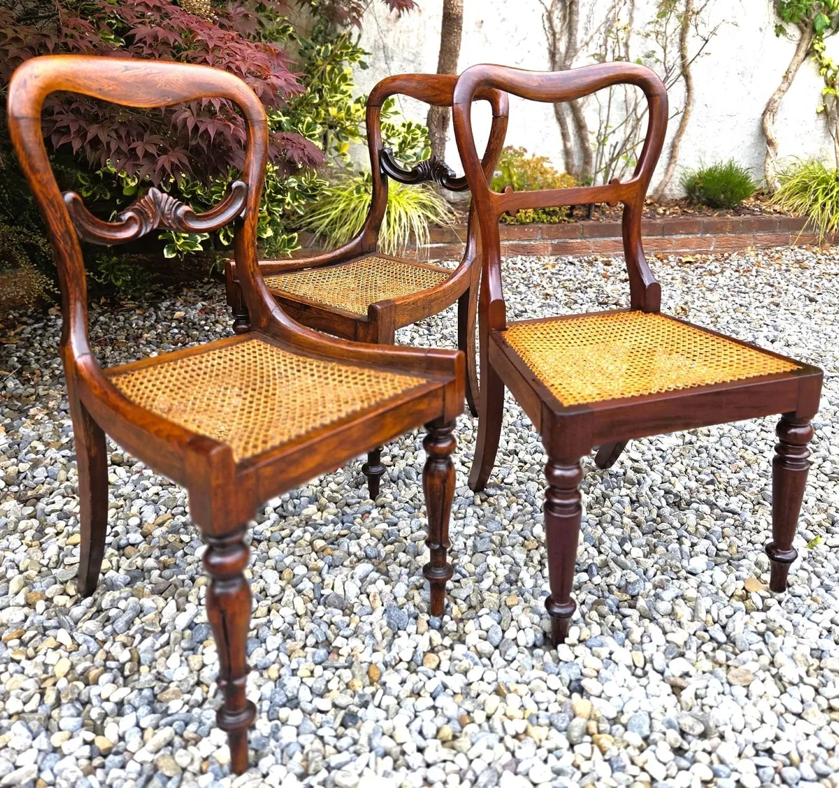 Georgian Rosewood Chairs- Circa 1835 - Image 3