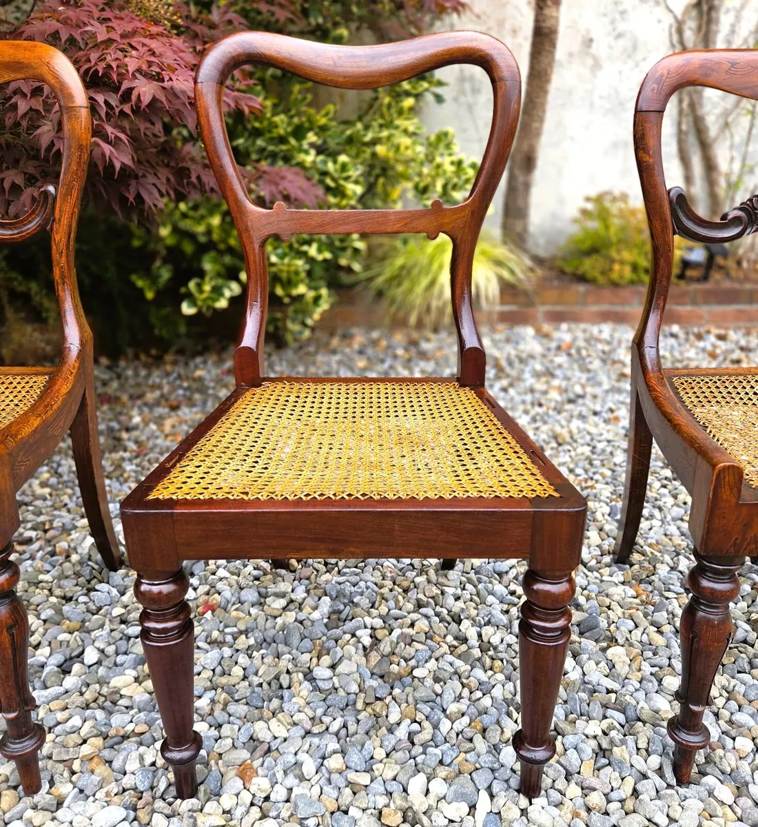 Georgian Rosewood Chairs- Circa 1835 - Image 4