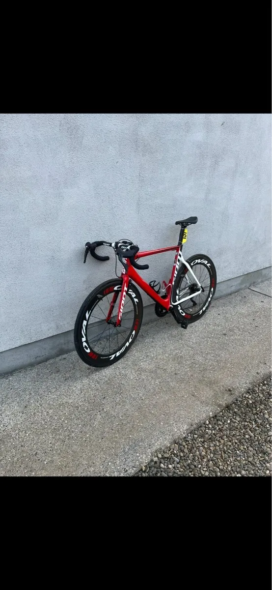Giant propel - Image 3