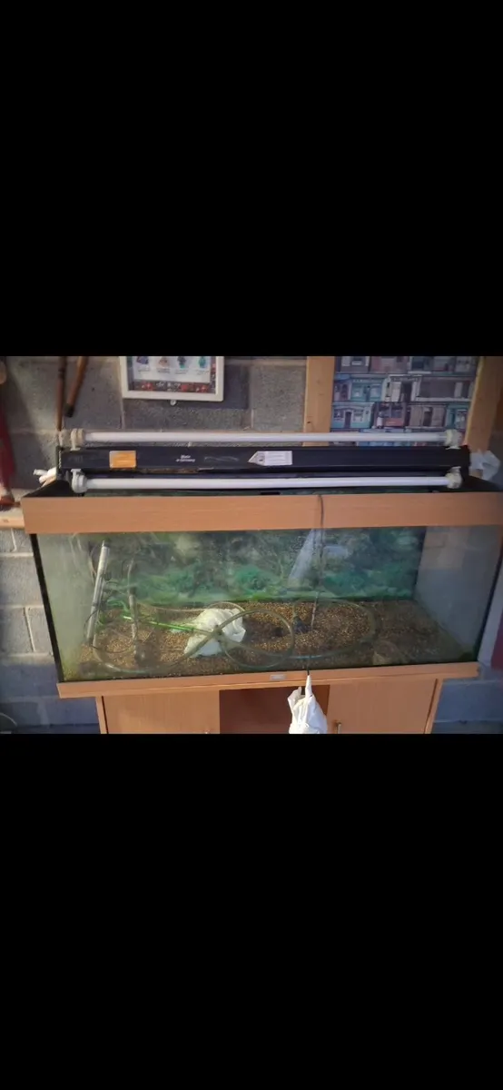 Fish tank - Image 1