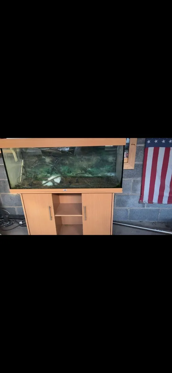 Fish tank - Image 2
