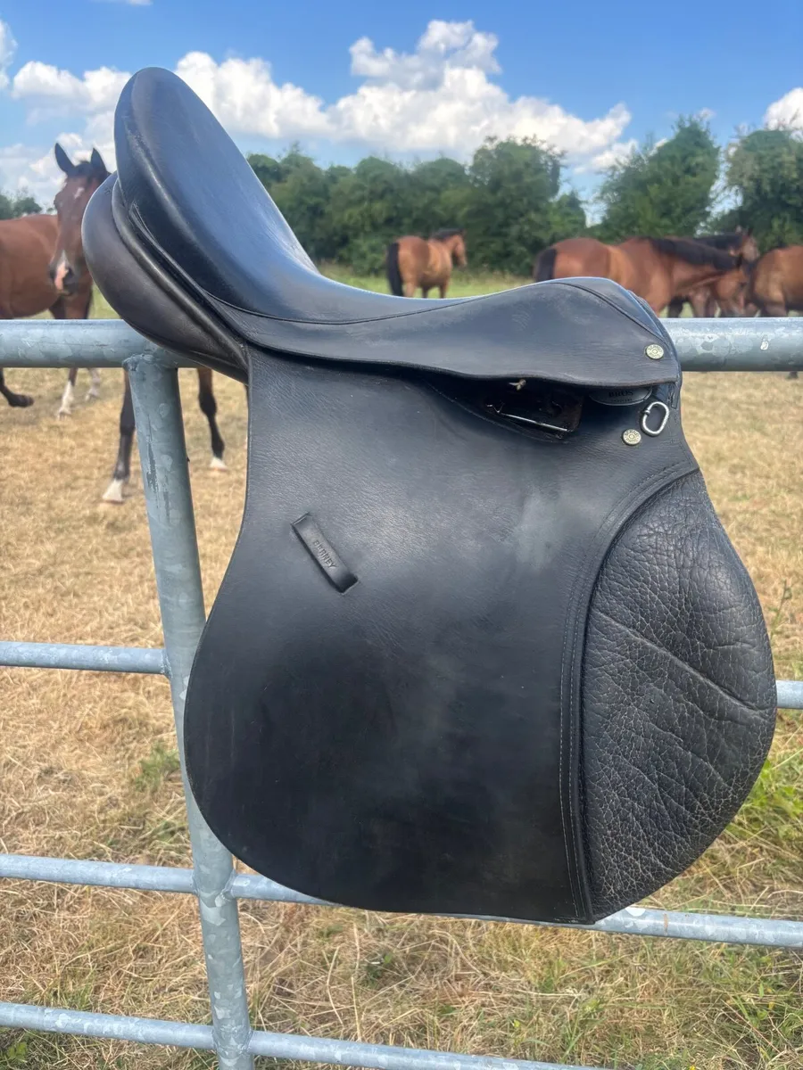 Saddle - Image 1