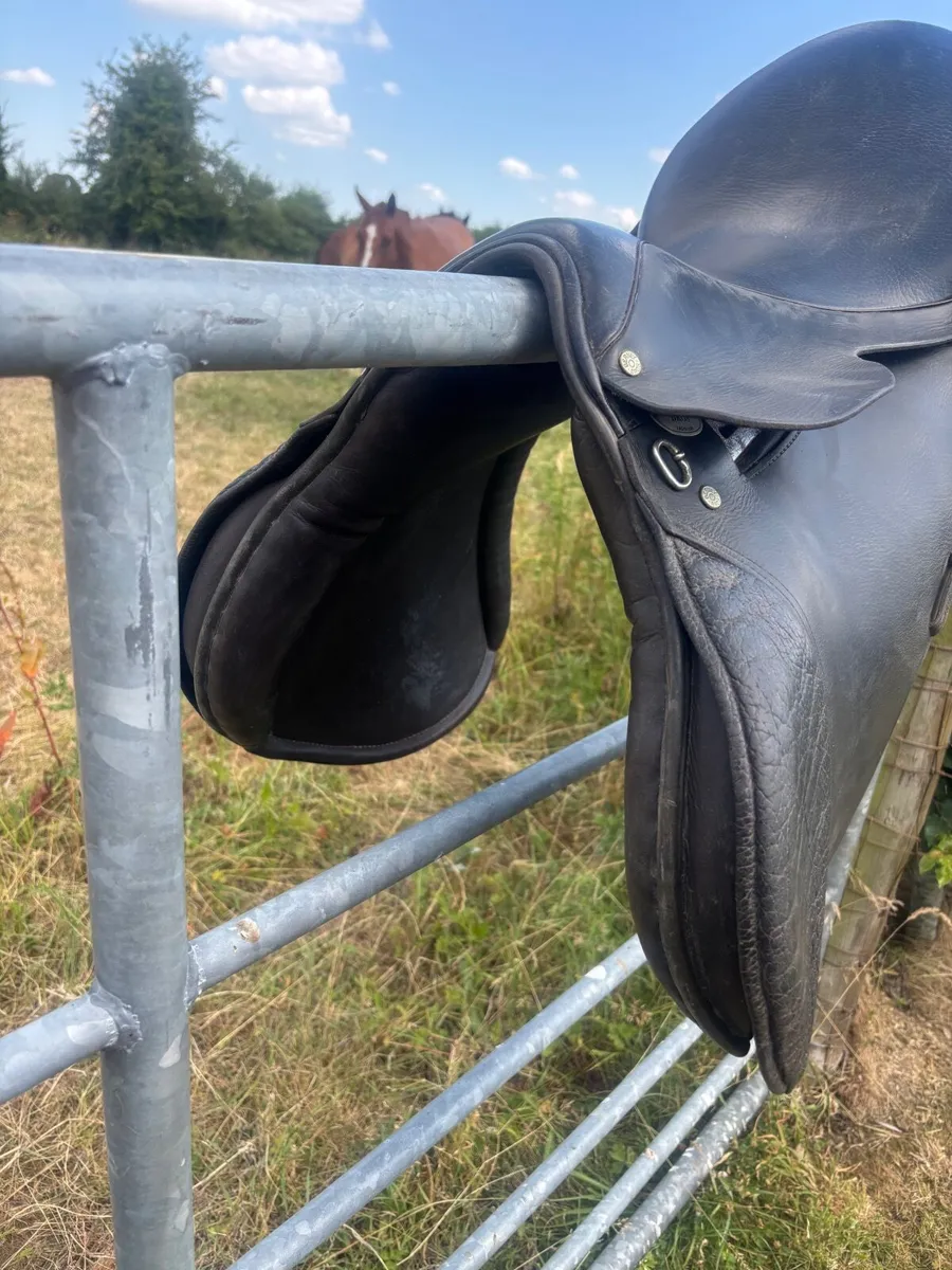 Saddle - Image 2