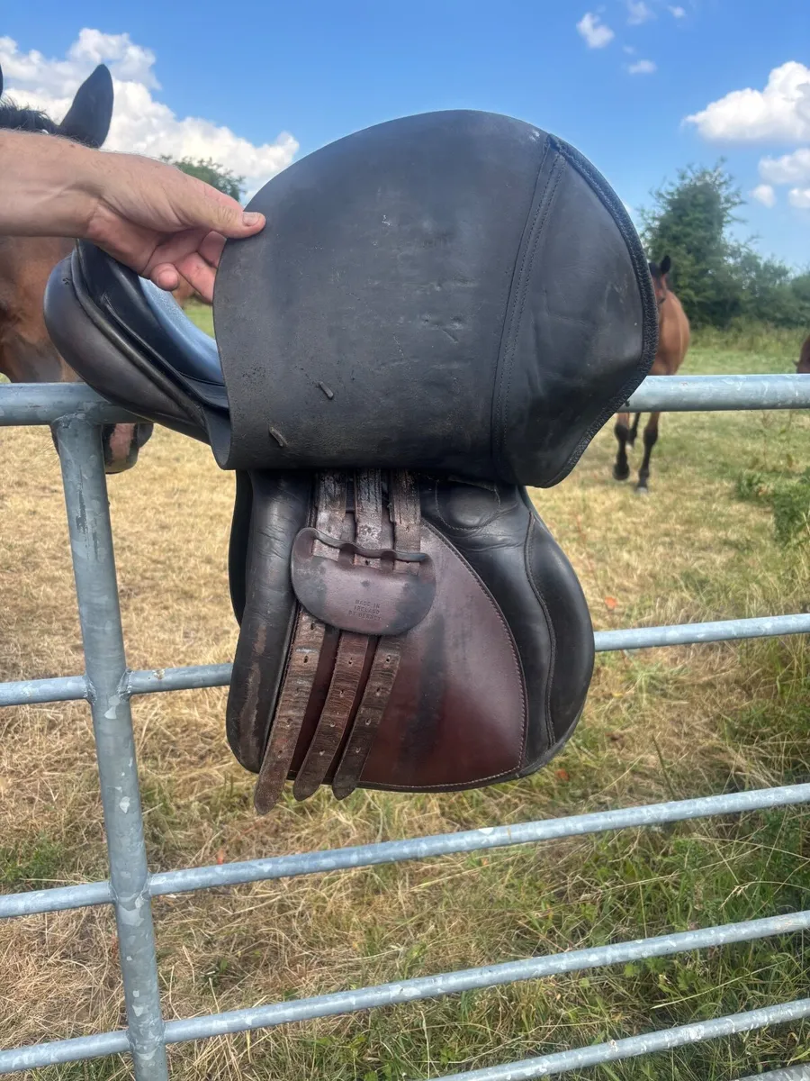 Saddle - Image 3