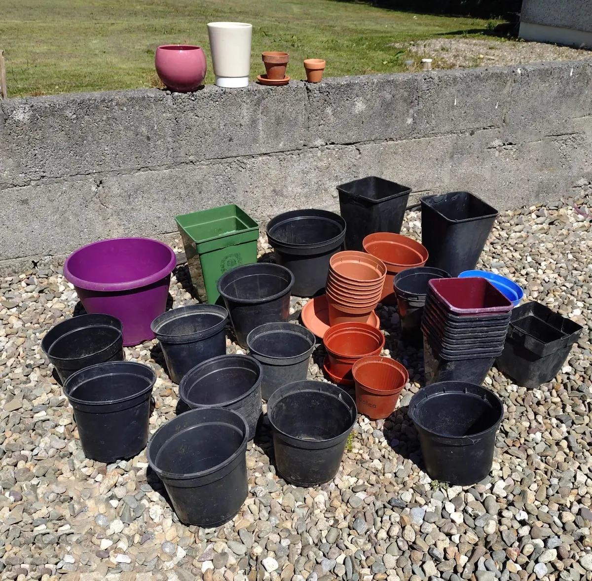 LOTS OF PLANT POTS (USED). - Image 1