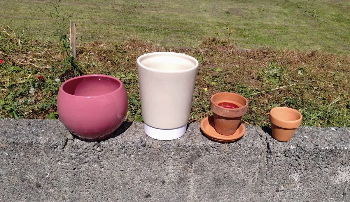 LOTS OF PLANT POTS (USED). - Image 2